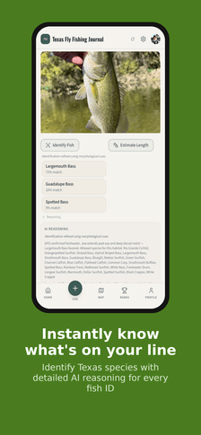 AI identifying a fish species from a photo